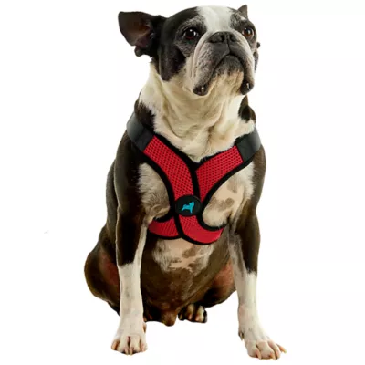 Gooby Comfort X Step In Lite Dog Harness - Image 1