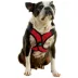 Gooby Comfort X Step In Lite Dog Harness image thumbnail 1