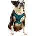 Gooby Comfort X Step In Lite Dog Harness image thumbnail 1