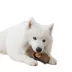 PawsPik 3-In-1 Tree Stump Interactive Frozen Dog Treat Toy image thumbnail 1