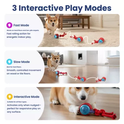 PawsPik Tug & Spin Smart Interactive Dog Toy - Image 2