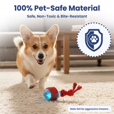 PawsPik Tug & Spin Smart Interactive Dog Toy - Image 4