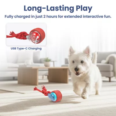 PawsPik Tug & Spin Smart Interactive Dog Toy - Image 5