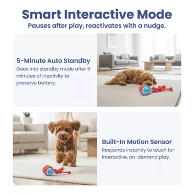 PawsPik Tug & Spin Smart Interactive Dog Toy - Image 6