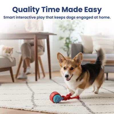 PawsPik Tug & Spin Smart Interactive Dog Toy - Image 9