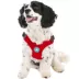 Gooby Escape Free Sports Dog Harness image thumbnail 1