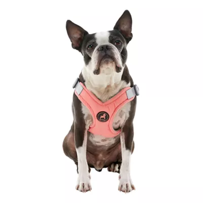 Gooby Memory Foam Step In Dog Harness - Image 1