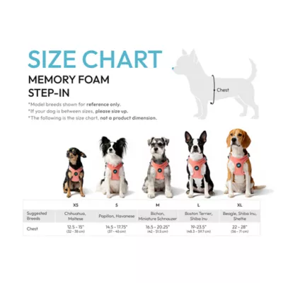 Gooby Memory Foam Step In Dog Harness - Image 5