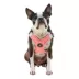 Gooby Memory Foam Step In Dog Harness image thumbnail 1