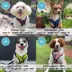 Gooby Comfort X Step In Lite Dog Harness image thumbnail 5