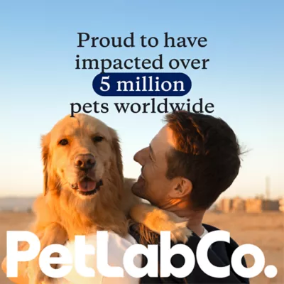 PetLab Co. Advanced Joint Care Chews for Dogs, Salmon Flavor, 30 Count, Small to Large Dogs - Image 8