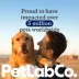 PetLab Co. Advanced Joint Care Chews for Dogs, Salmon Flavor, 30 Count, Small to Large Dogs image thumbnail 8