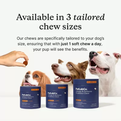 PetLab Co. Allergy & Immune Probiotic Dog Supplement, Pork Flavor, Small to Large Dogs - Image 3