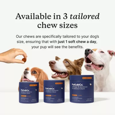 PetLab Co. Allergy & Immune Probiotic Dog Supplement, Pork Flavor, Small to Large Dogs - Image 3