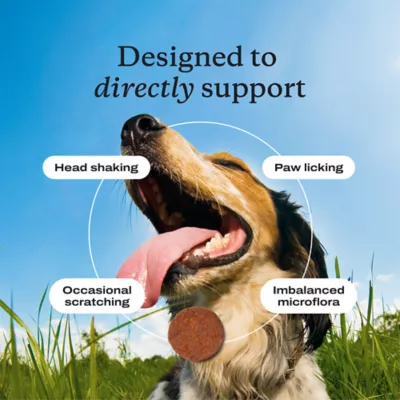 PetLab Co. Allergy & Immune Probiotic Dog Supplement, Pork Flavor, Small to Large Dogs - Image 4