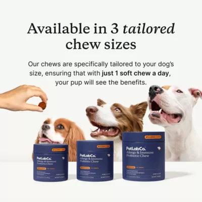PetLab Co. Allergy & Immune Probiotic Dog Supplement, Pork Flavor, Small to Large Dogs - Image 3