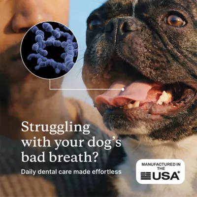 PetLabCo. ProBright Dental Powder for Dogs, Breath Freshening, 30 Servings, XS to Large Dogs - Image 2