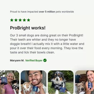 PetLabCo. ProBright Dental Powder for Dogs, Breath Freshening, 30 Servings, XS to Large Dogs - Image 8