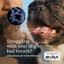 PetLabCo. ProBright Dental Powder for Dogs, Breath Freshening, 30 Servings, XS to Large Dogs image thumbnail 2