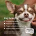 PetLabCo. ProBright Dental Powder for Dogs, Breath Freshening, 30 Servings, XS to Large Dogs image thumbnail 3