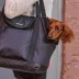 Cleverpup Lightweight Transit Tote Dog Carrier W/ Food-Safe Pouch & Poop Bag Dispenser, 4 Pc Set image thumbnail 3