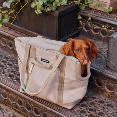 Cleverpup Lightweight Transit Tote Dog Carrier W/ Food-Safe Pouch & Poop Bag Dispenser, 4 Pc Set - Image 3