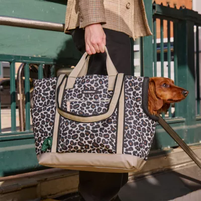 Cleverpup Lightweight Transit Tote Dog Carrier W/ Food-Safe Pouch & Poop Bag Dispenser, 4 Pc Set - Image 3