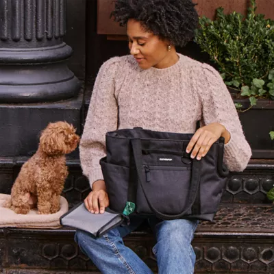 Cleverpup Lightweight Transit Tote Dog Carrier W/ Food-Safe Pouch & Poop Bag Dispenser, Graphite - Image 2