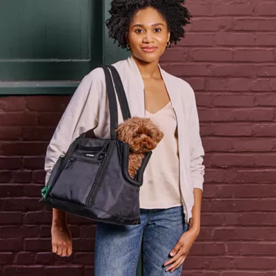 Cleverpup Lightweight Transit Tote Dog Carrier W/ Food-Safe Pouch & Poop Bag Dispenser, Graphite - Image 3