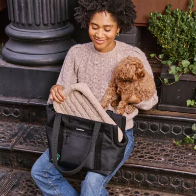 Cleverpup Lightweight Transit Tote Dog Carrier W/ Food-Safe Pouch & Poop Bag Dispenser, Graphite - Image 9