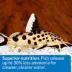 API® Bottom Feeder Pellets Fish Food - 1.7 oz image thumbnail 5