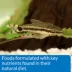 API® Bottom Feeder Pellets Fish Food - 1.7 oz image thumbnail 6