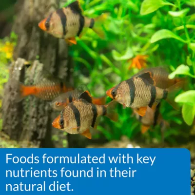 API® Tropical Mini Pellets Fish Food - 2.1 oz - Image 5