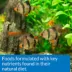 API® Tropical Mini Pellets Fish Food - 2.1 oz image thumbnail 5