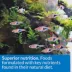 API® Tropical Mini Pellets Fish Food - 2.1 oz image thumbnail 6
