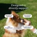 PetLab Co. Advanced Joint Care Chews for Dogs, Salmon Flavor, 30 Count, Small to Large Dogs image thumbnail 3