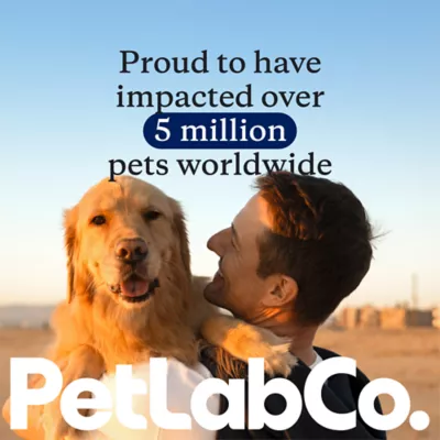 PetLab Co. Advanced Joint Care Chews for Dogs, Salmon Flavor, 30 Count, Small to Large Dogs - Image 7