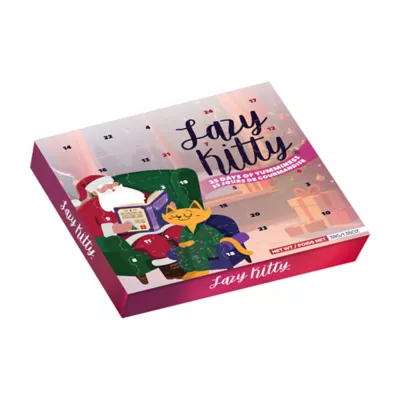 Lazy Kitty Advent Calendar Air-dried treats for Cats - Image 1