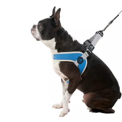 Gooby Simple Step In Dog Harness III - Image 1