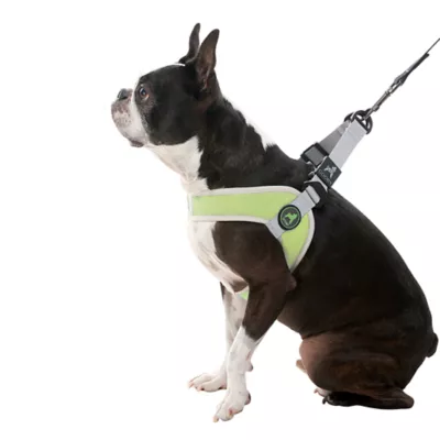 Gooby Simple Step In Dog Harness III - Image 1