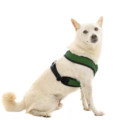 Gooby Comfort X Dual Snap Mesh Dog Harness - Image 1