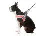 Gooby Simple Step In Dog Harness III image thumbnail 1