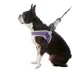 Gooby Simple Step In Dog Harness III image thumbnail 1