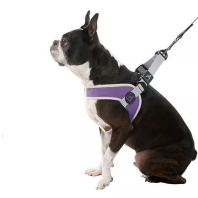 Gooby Simple Step In Dog Harness III - Image 1