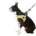 Gooby Simple Step In Dog Harness III image thumbnail 1