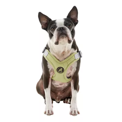 Gooby Memory Foam Step In Dog Harness - Image 1