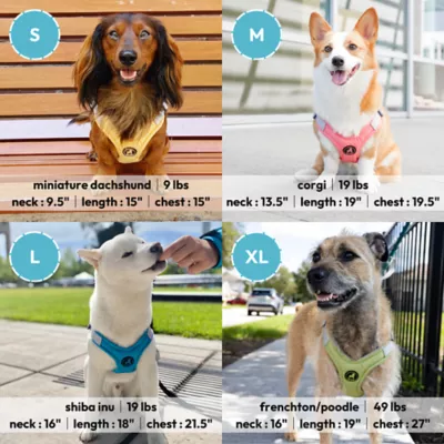 Gooby Memory Foam Step In Dog Harness - Image 6