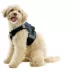 Gooby Soft Mesh X Step In Dog Harness image thumbnail 1