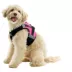 Gooby Soft Mesh X Step In Dog Harness image thumbnail 1