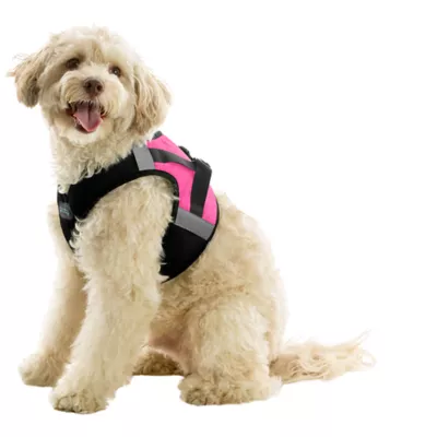 Gooby Soft Mesh X Step In Dog Harness - Image 1